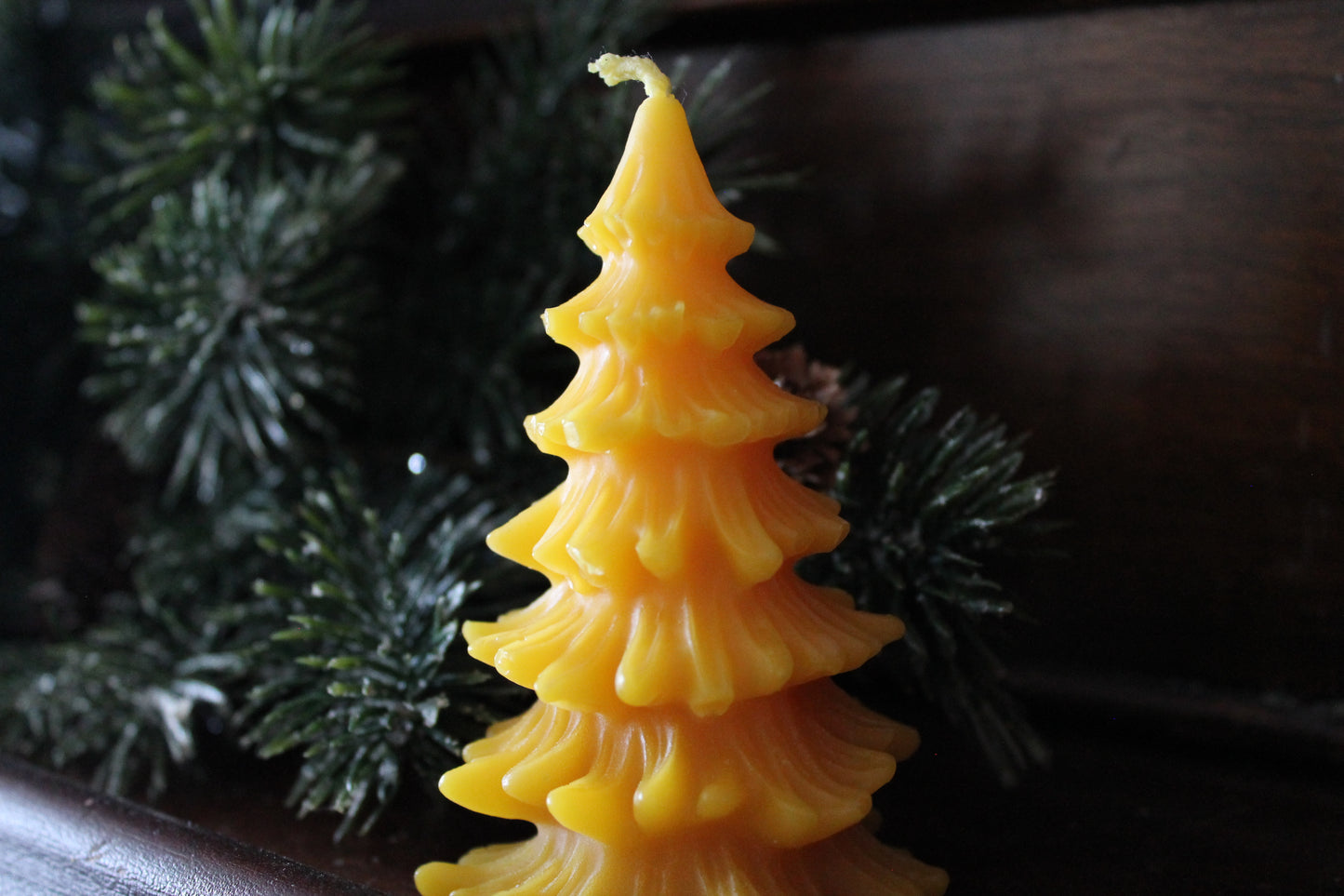 Evergreen Trees