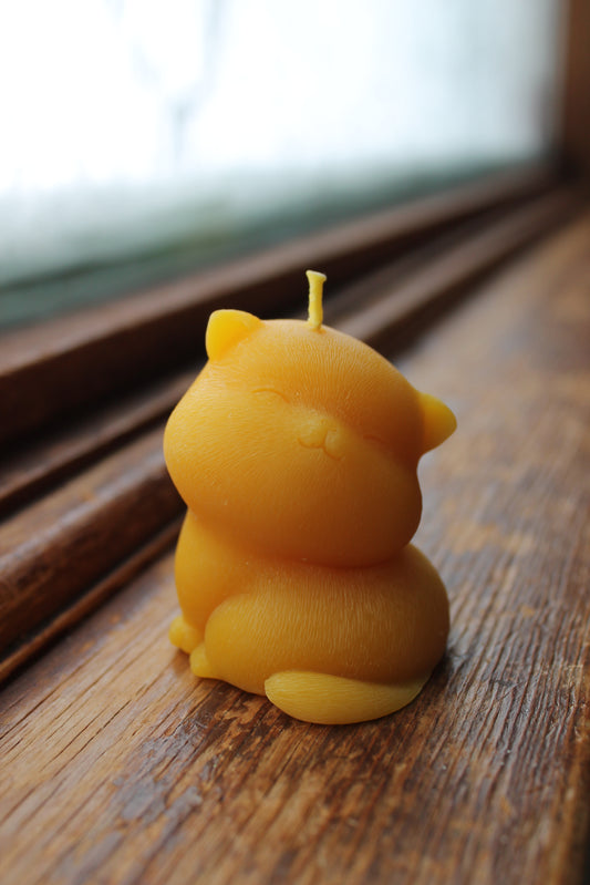 Kitty Candle