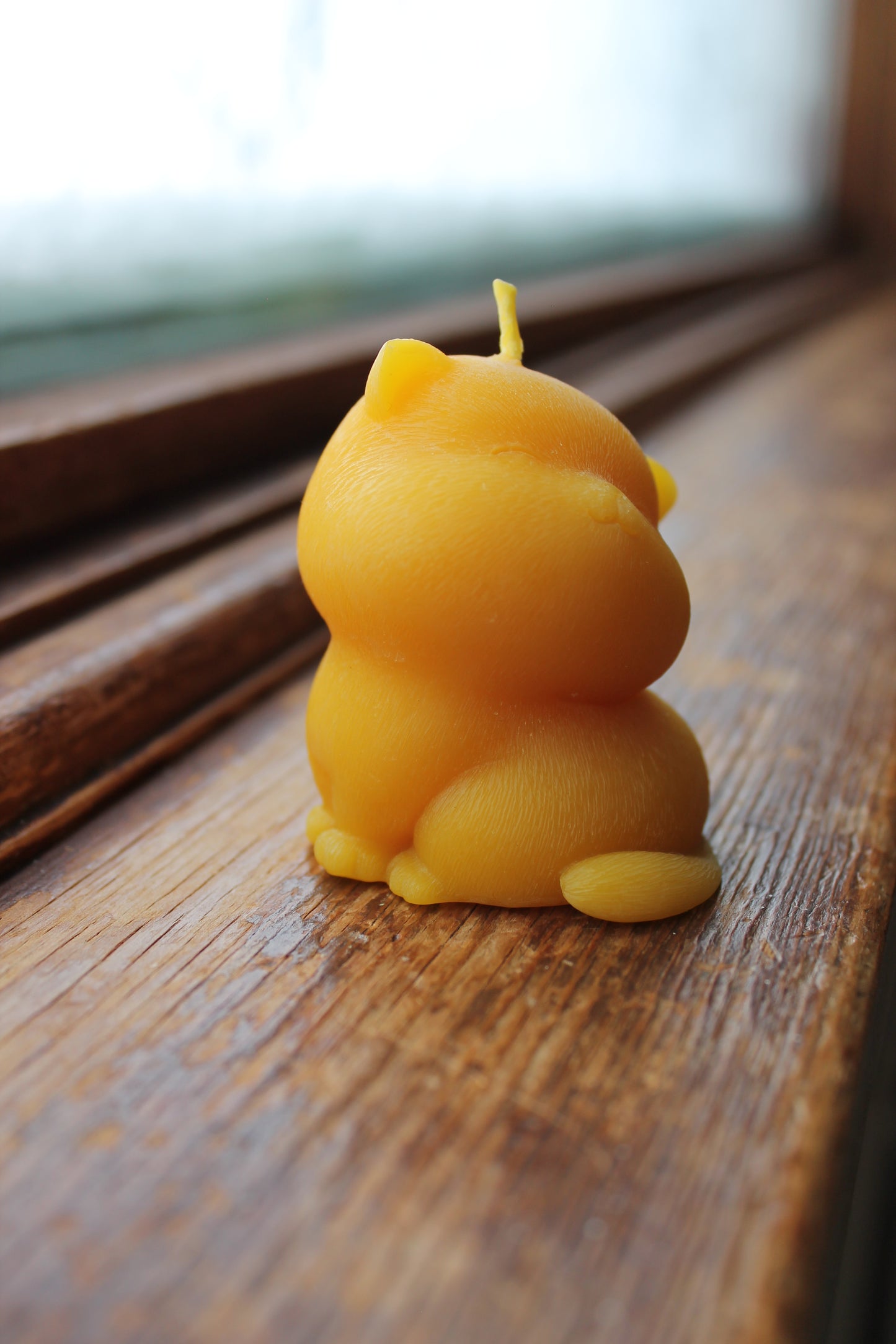Kitty Candle